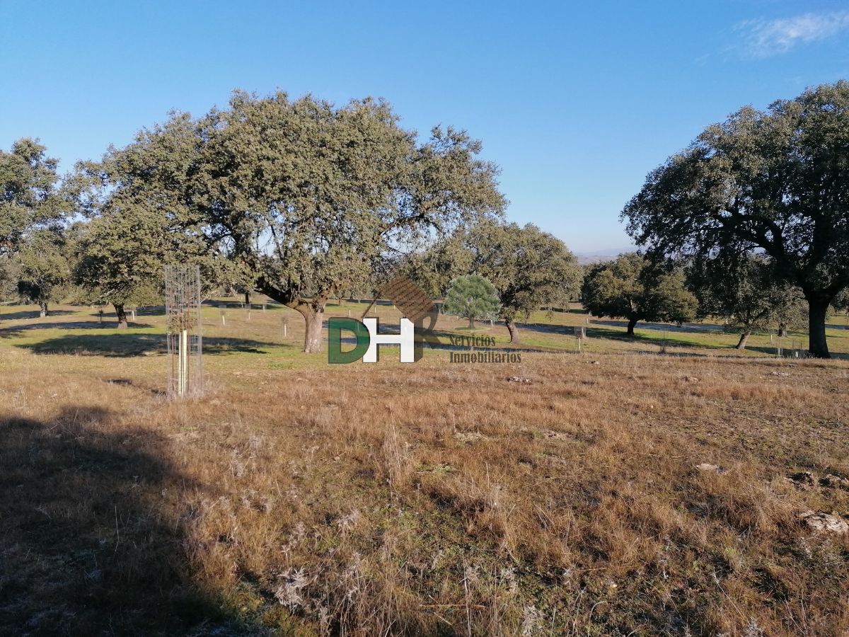 For sale of land in Cáceres