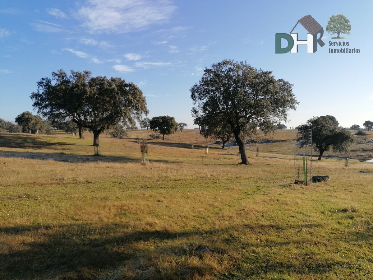 Venta de terreno en Cáceres Venta de terreno en Cáceres