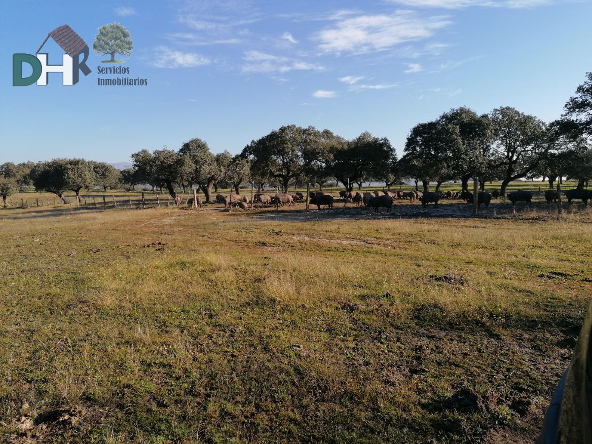 For sale of land in Cáceres