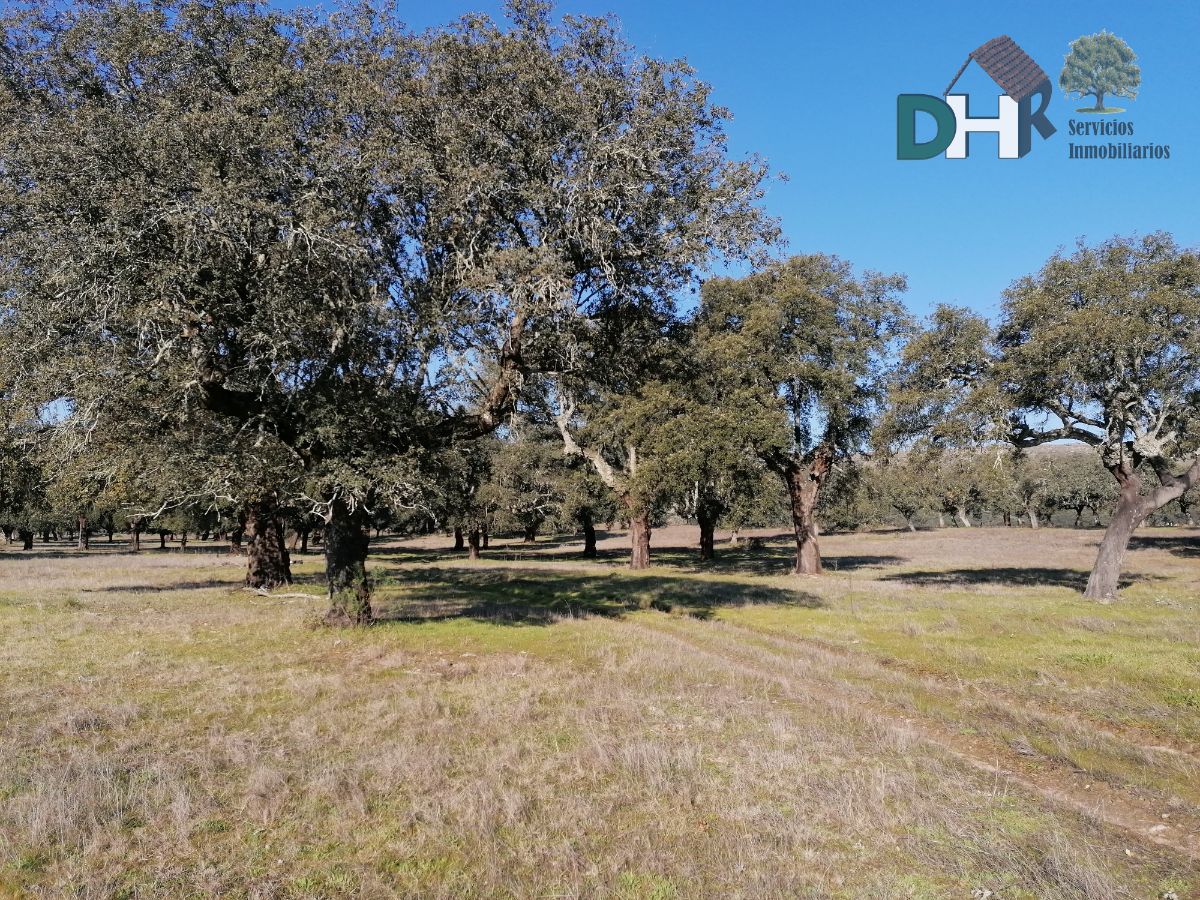 Venta de terreno en Cáceres Venta de terreno en Cáceres