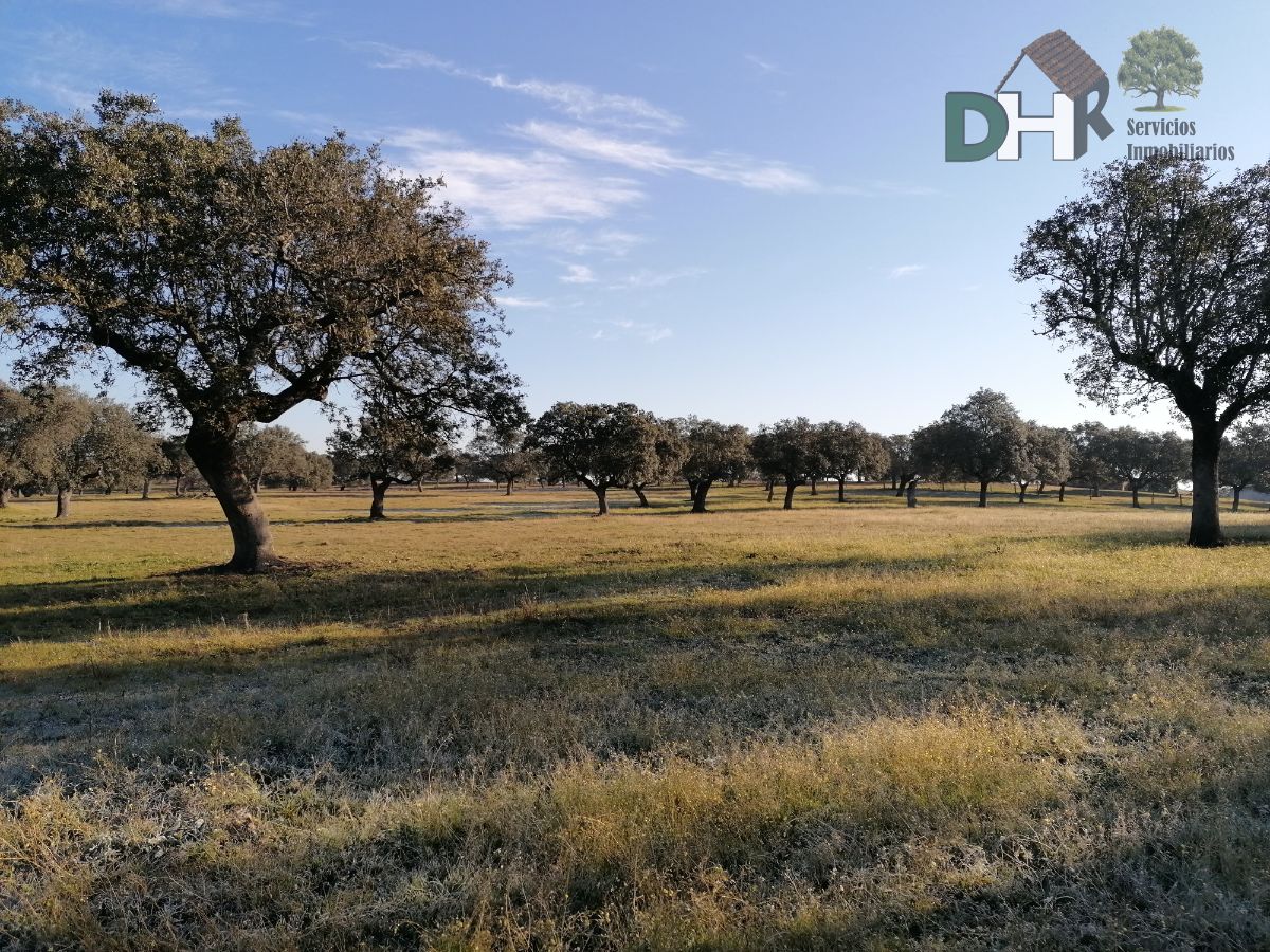 For sale of land in Cáceres