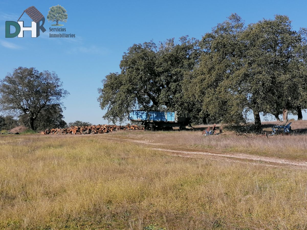 For sale of land in Cáceres