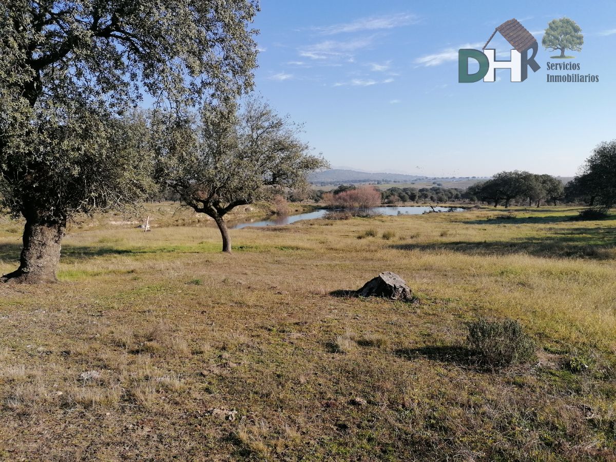 For sale of land in Cáceres