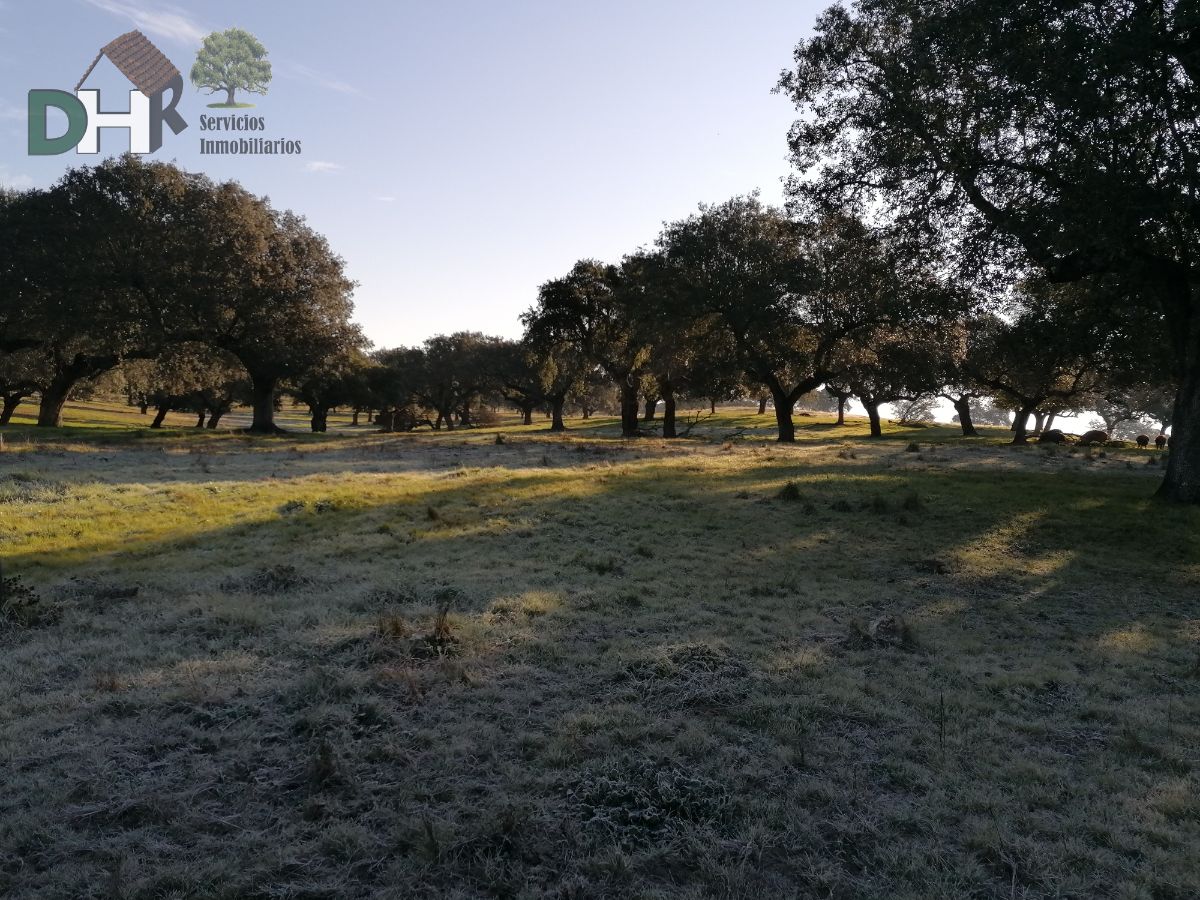 For sale of land in Cáceres