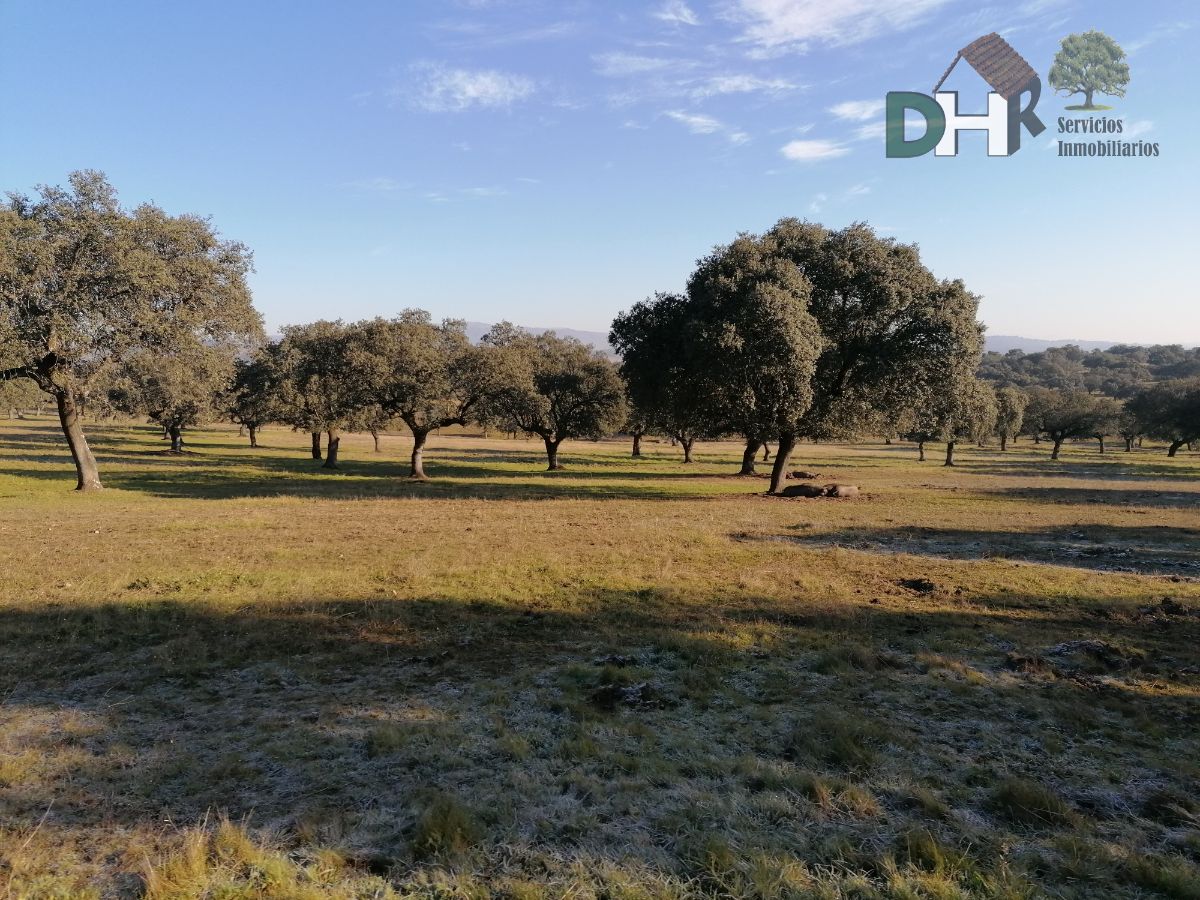 For sale of land in Cáceres