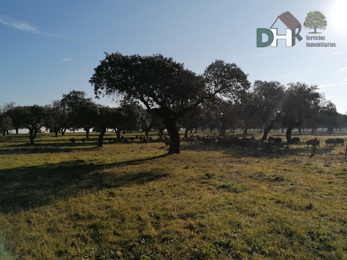 Venta de terreno en Cáceres