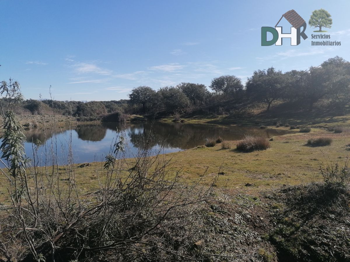 For sale of land in Aceituna