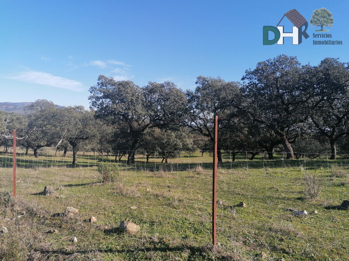For sale of land in Aceituna