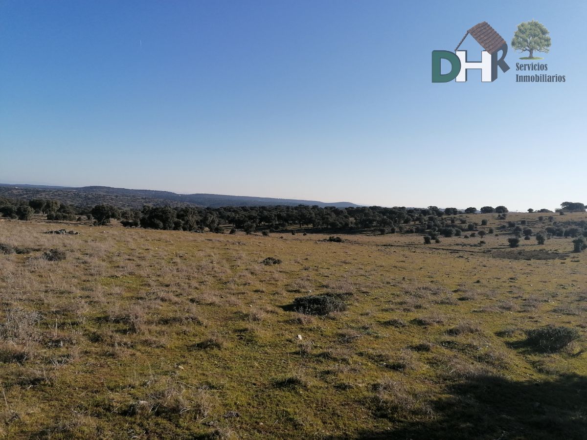 For sale of land in Cáceres