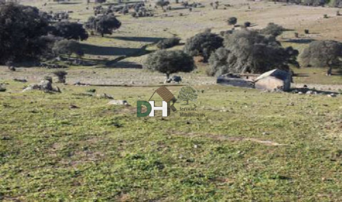 Venta de terreno en Cáceres