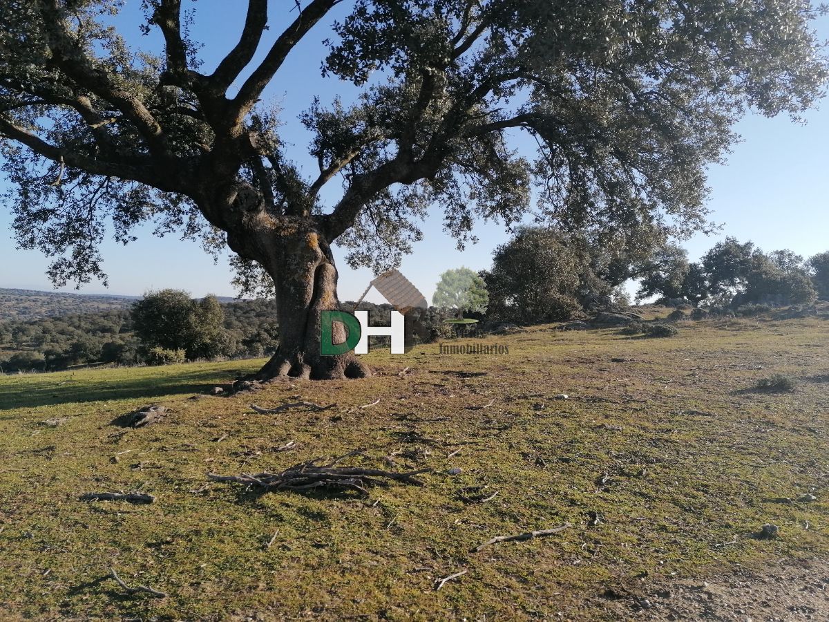 Venta de terreno en Cáceres