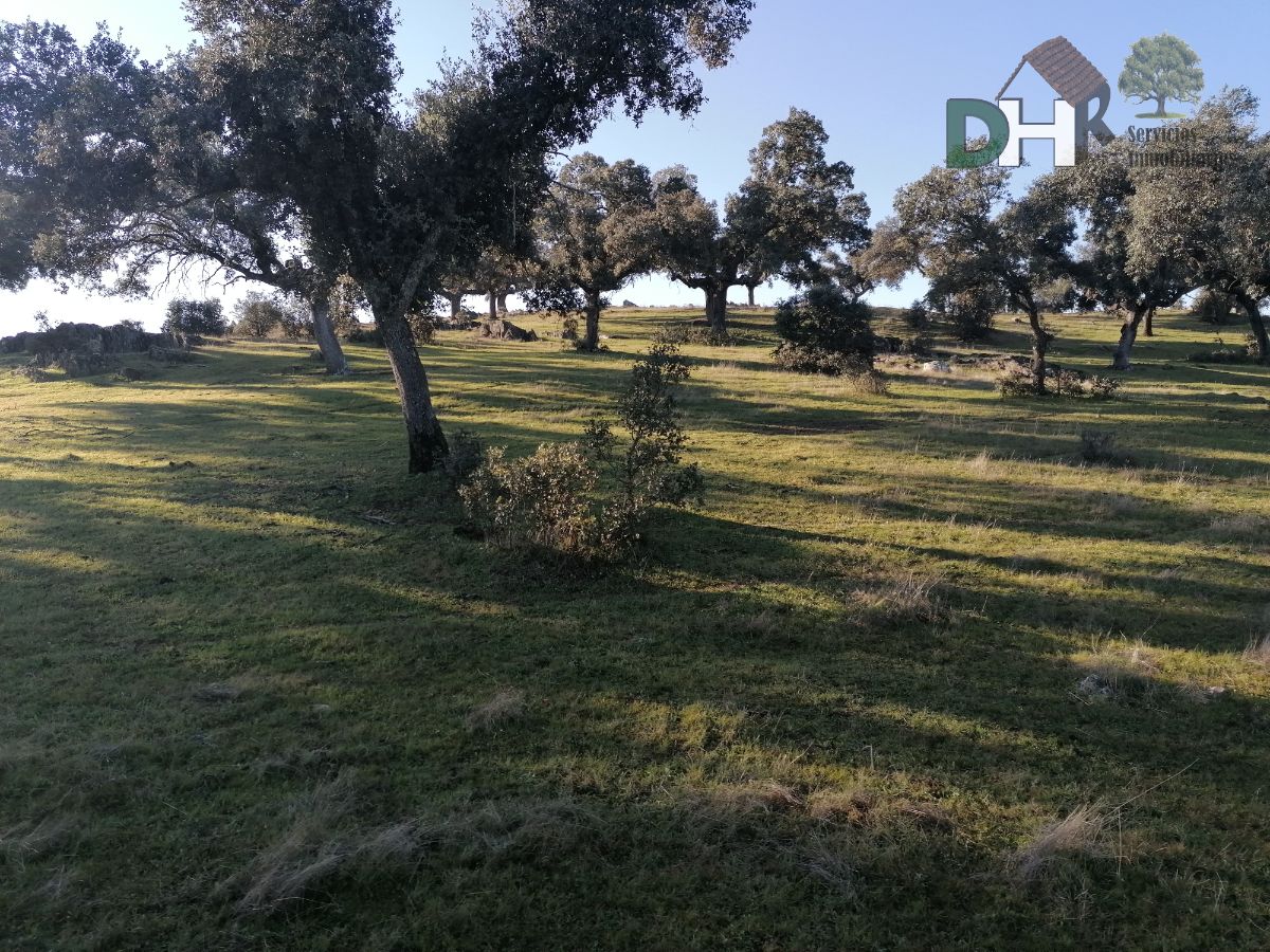 For sale of land in Talaván
