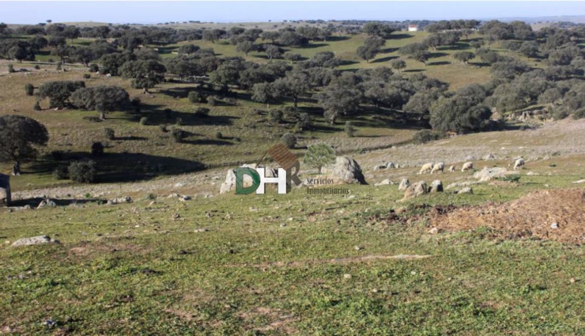 For sale of land in Cáceres