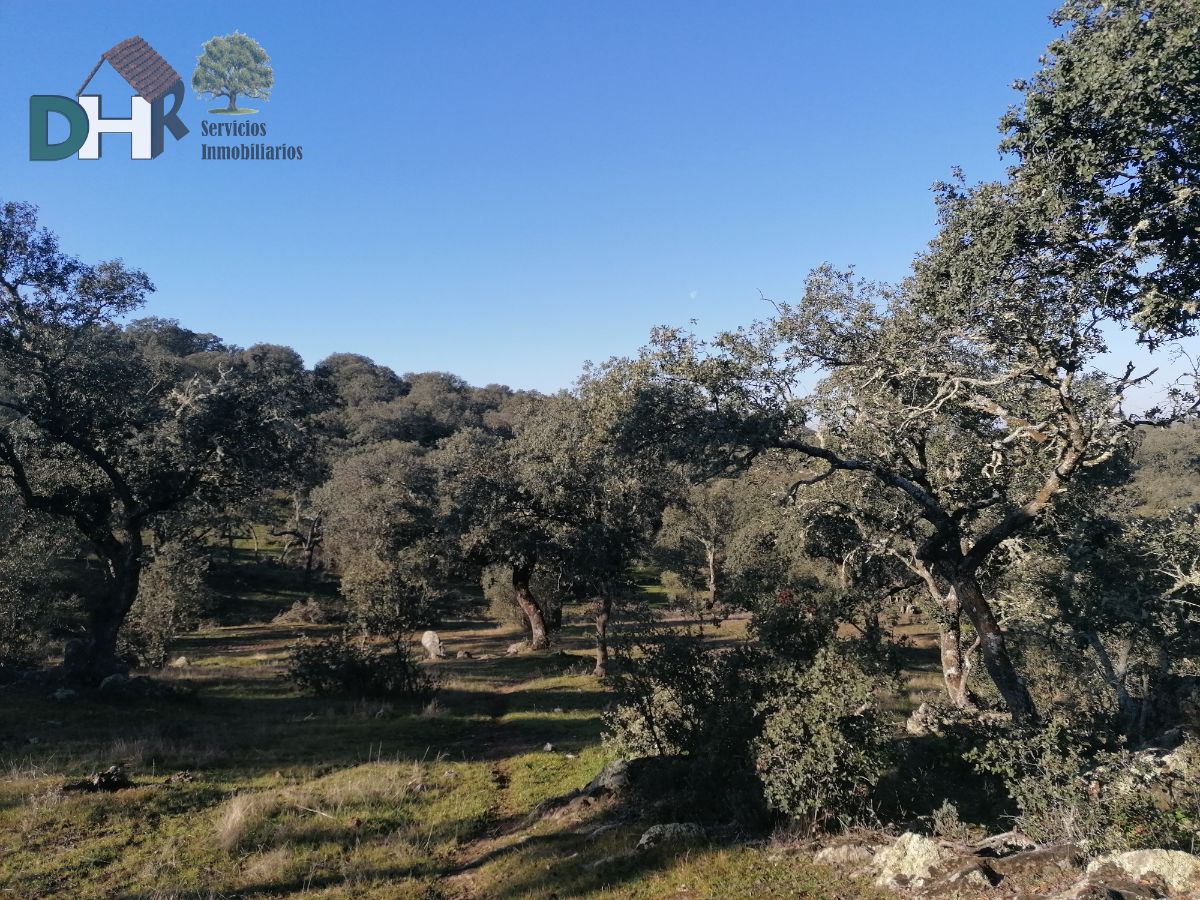 Venta de terreno en Cáceres