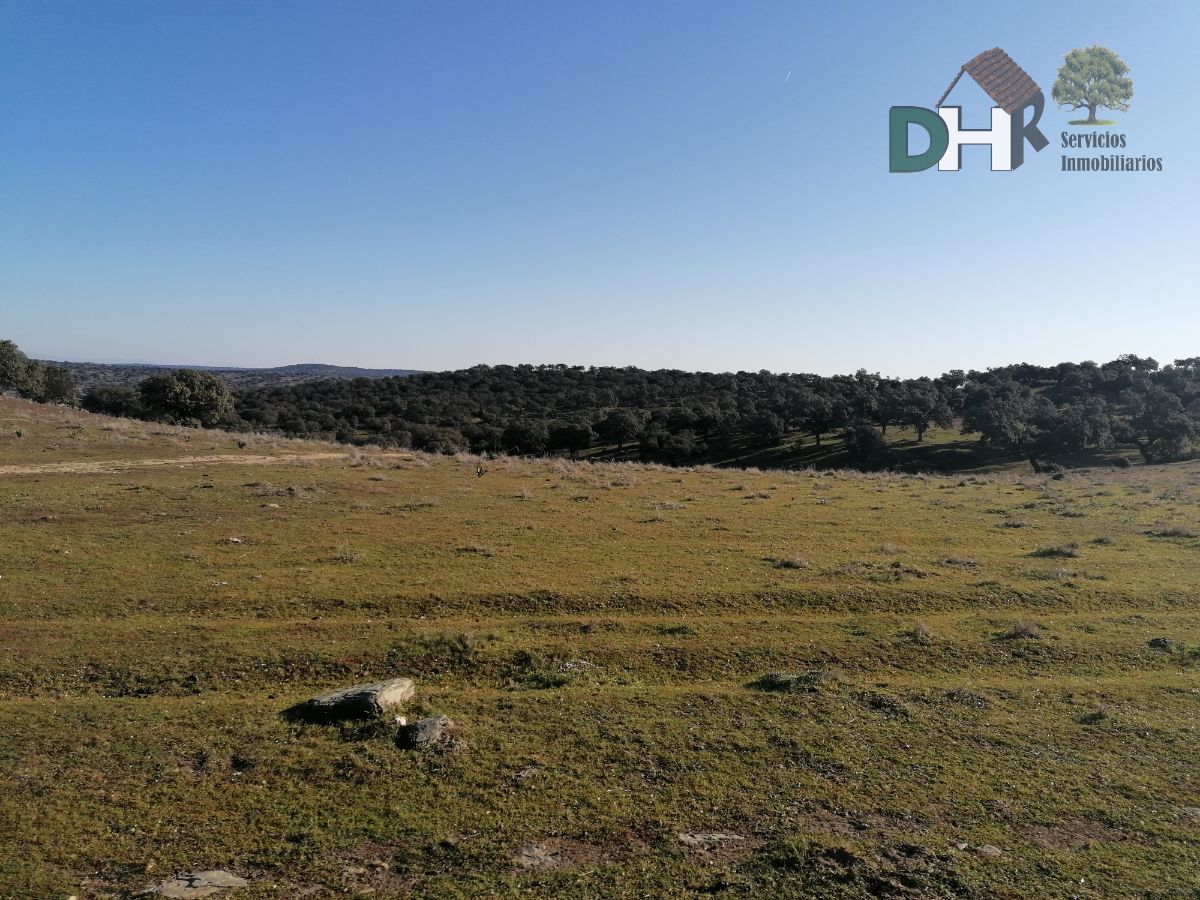 For sale of land in Talaván