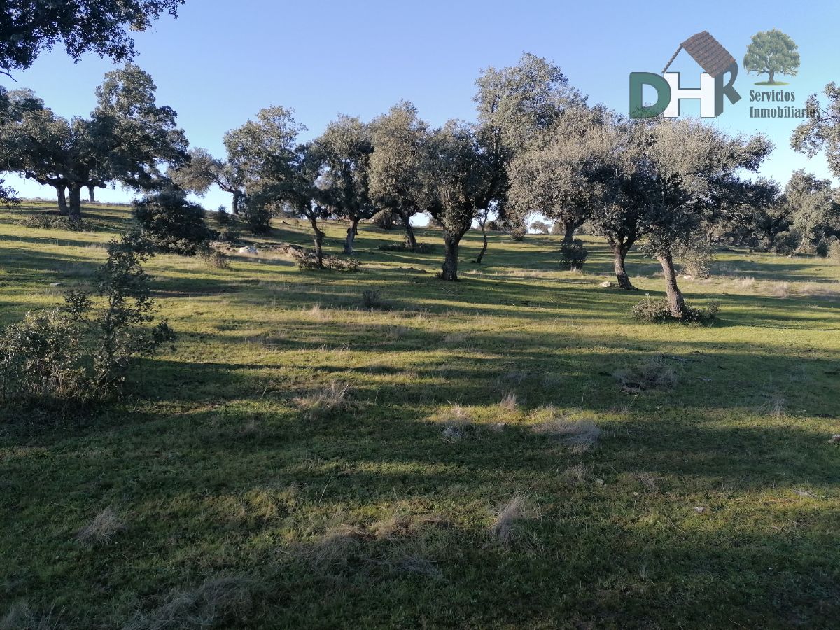 For sale of land in Cáceres