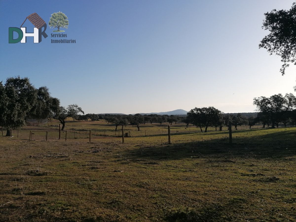 For sale of land in Cáceres