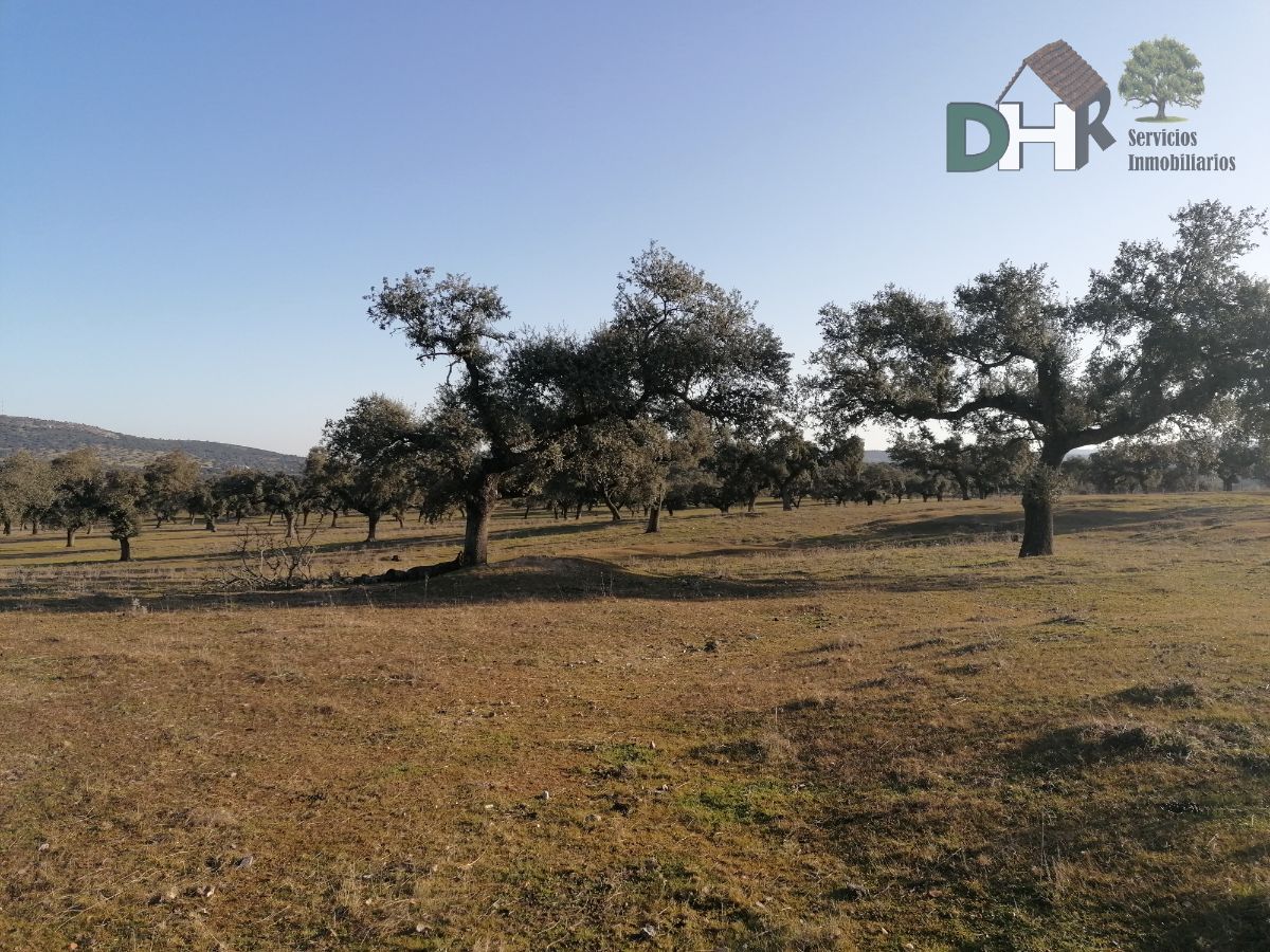 Venta de terreno en Cáceres