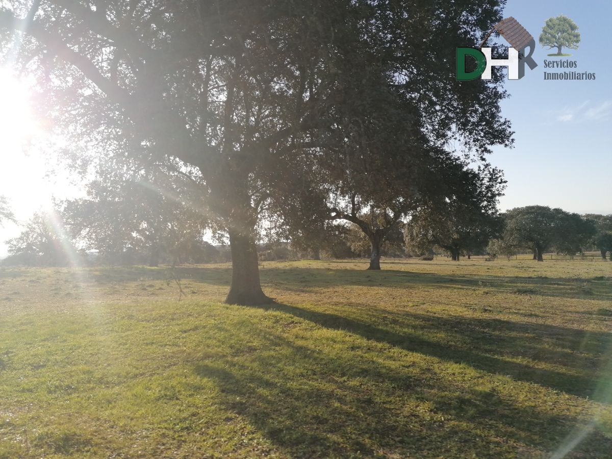 Venta de terreno en Cáceres