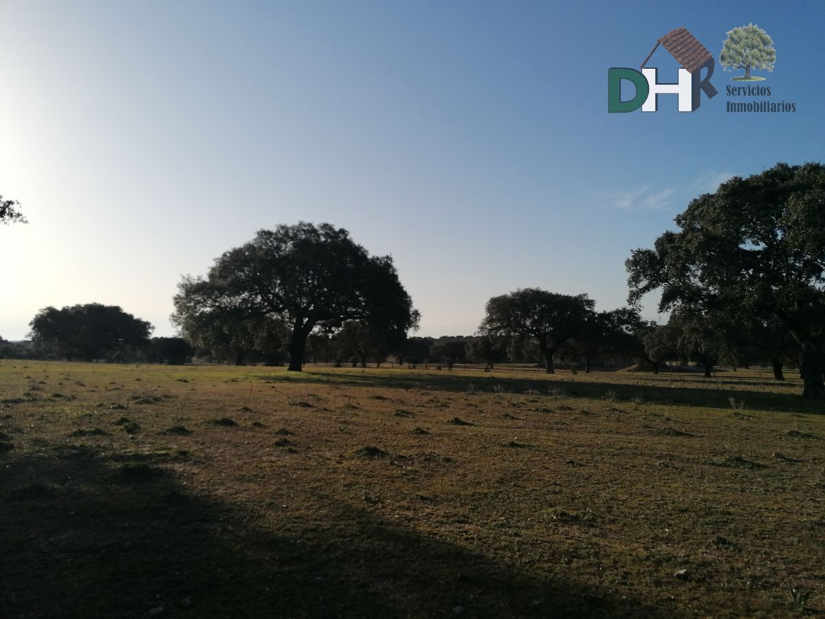 For sale of land in Cañaveral