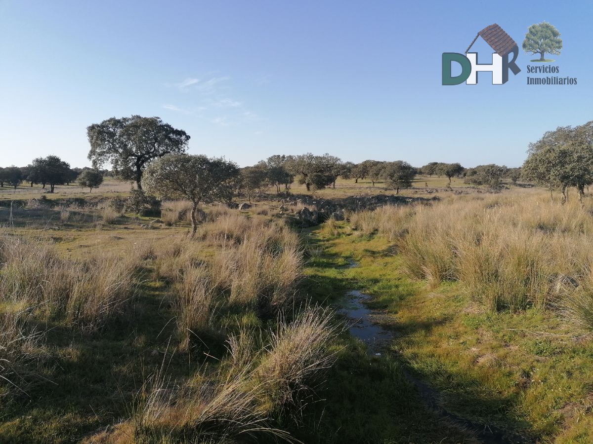 For sale of land in Cáceres