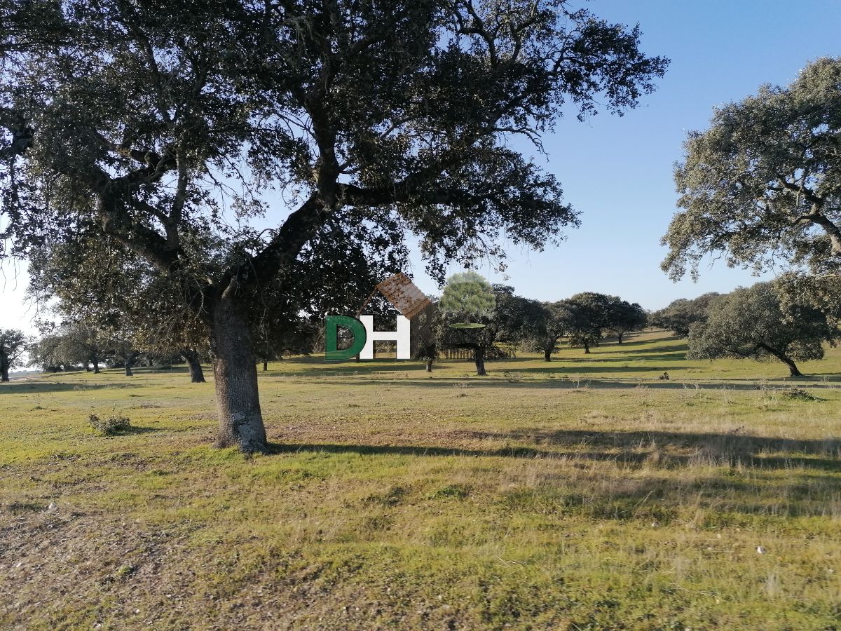 Venta de terreno en Cáceres