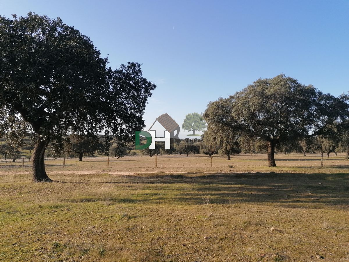 Venta de terreno en Cáceres