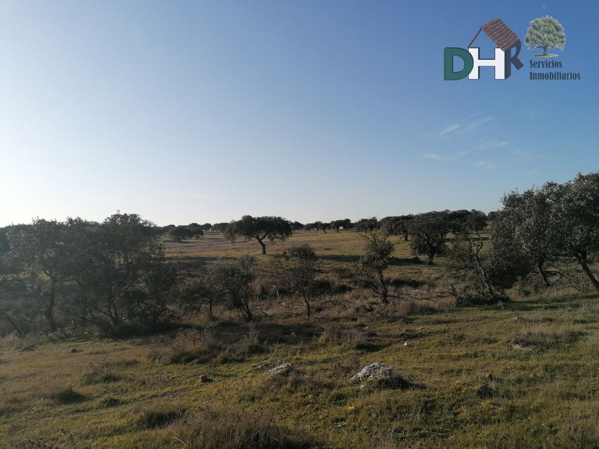 For sale of land in Cáceres