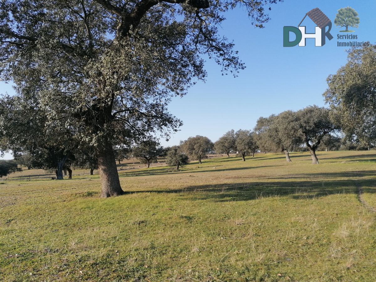 Venta de terreno en Cáceres