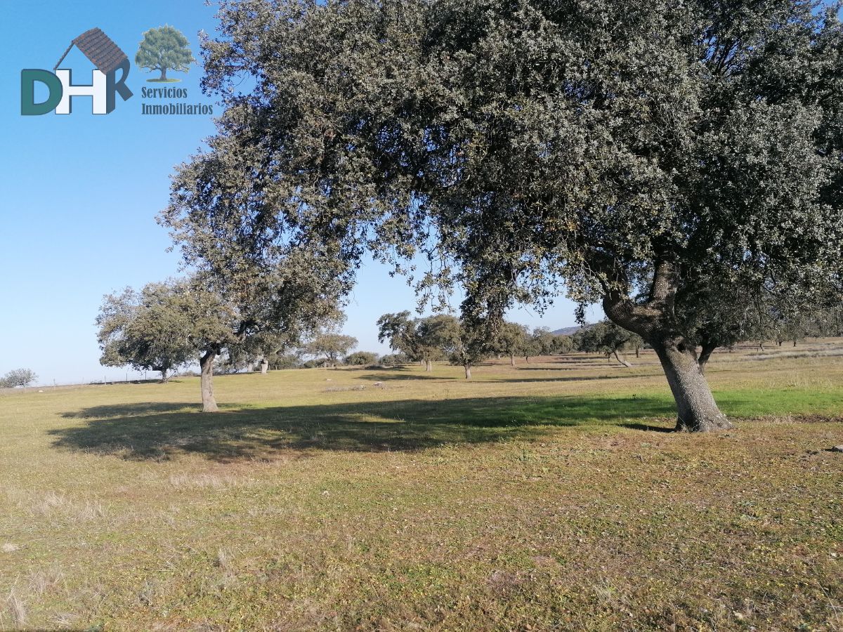 For sale of land in Cáceres