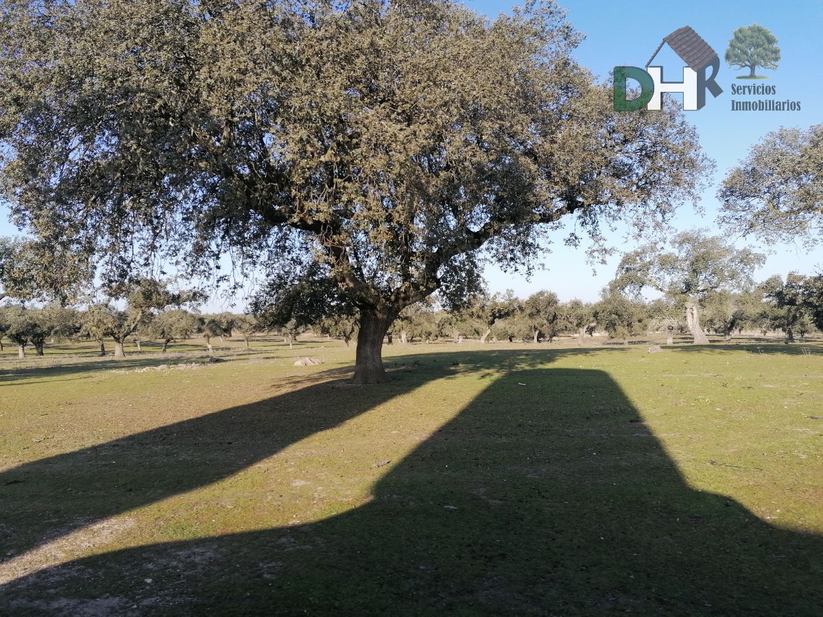 Venta de terreno en Cáceres