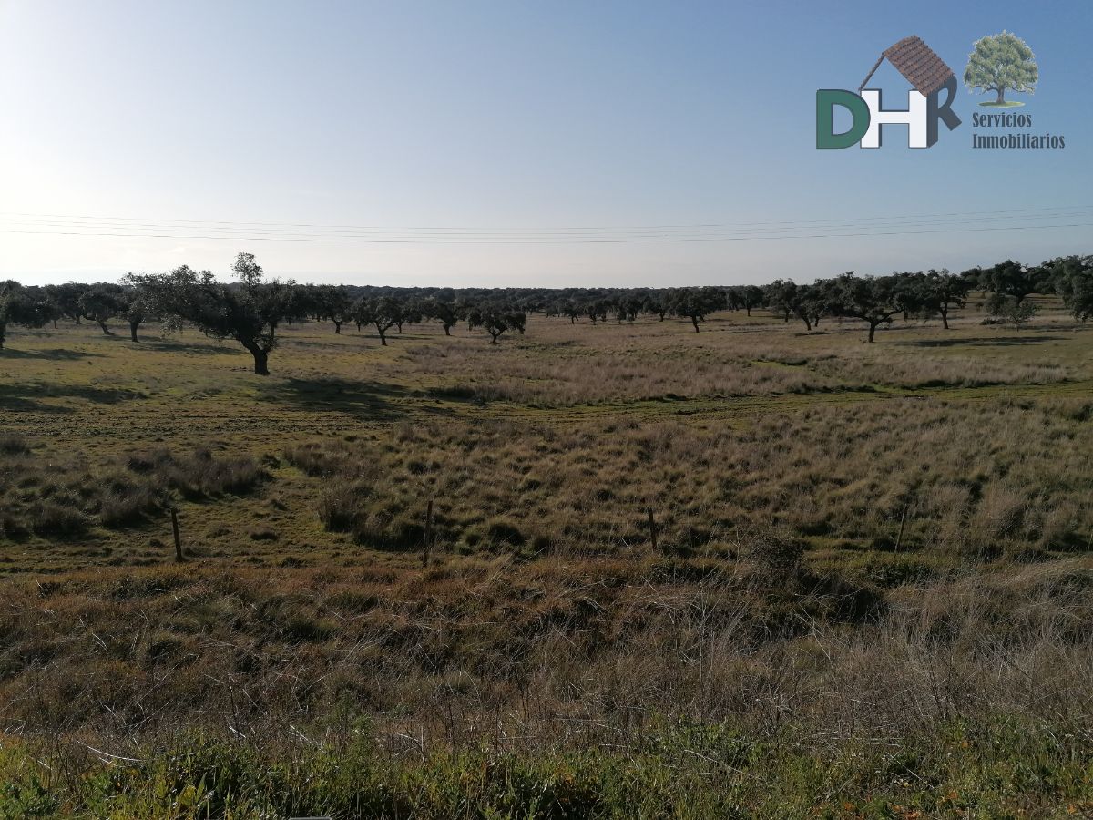 For sale of land in Cañaveral