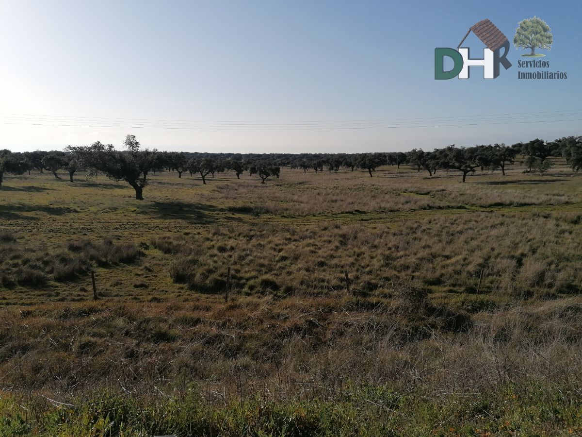 For sale of land in Cáceres