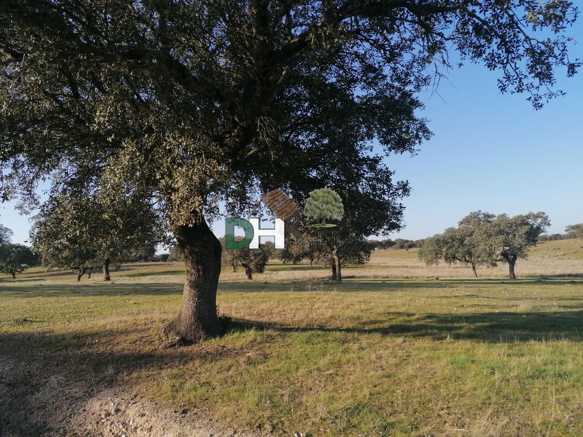 Venta de terreno en Cáceres