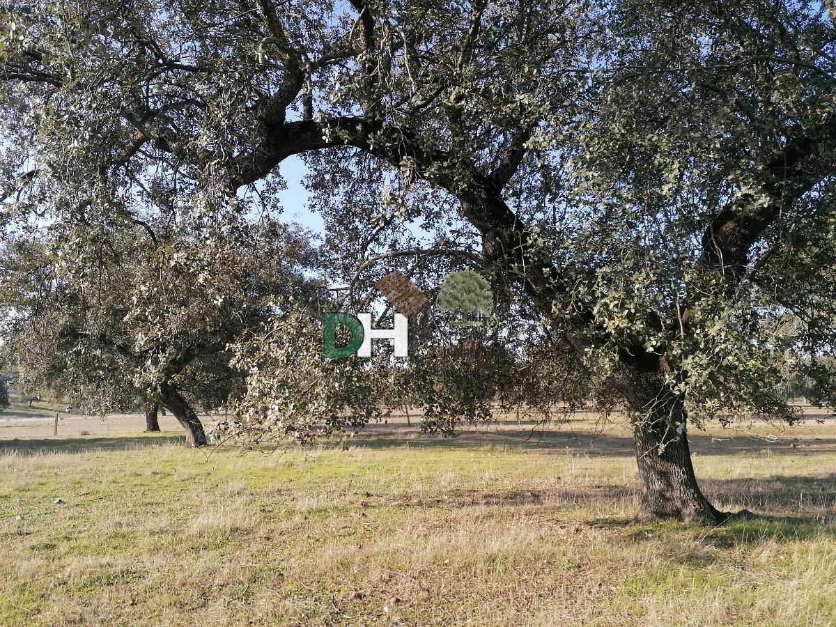 For sale of land in Cáceres