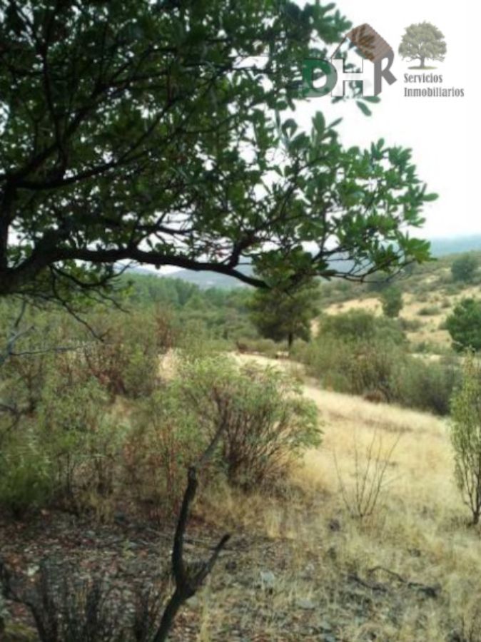 For sale of land in Cáceres