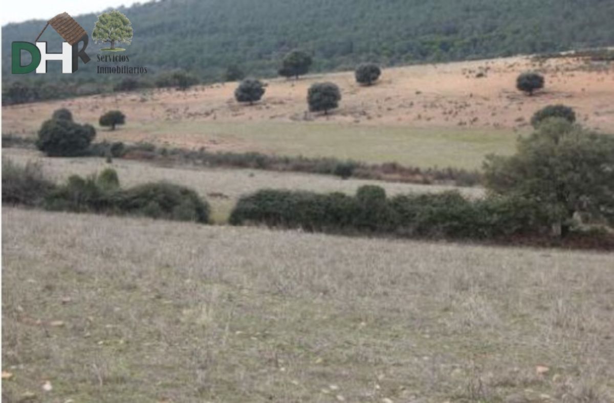 Venta de terreno en Cáceres