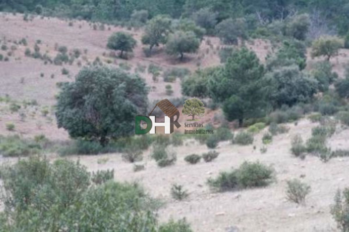 For sale of land in Cáceres