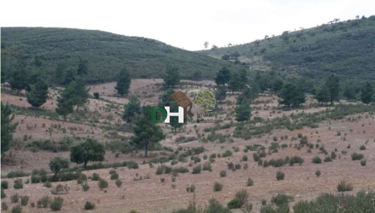 For sale of land in Cáceres