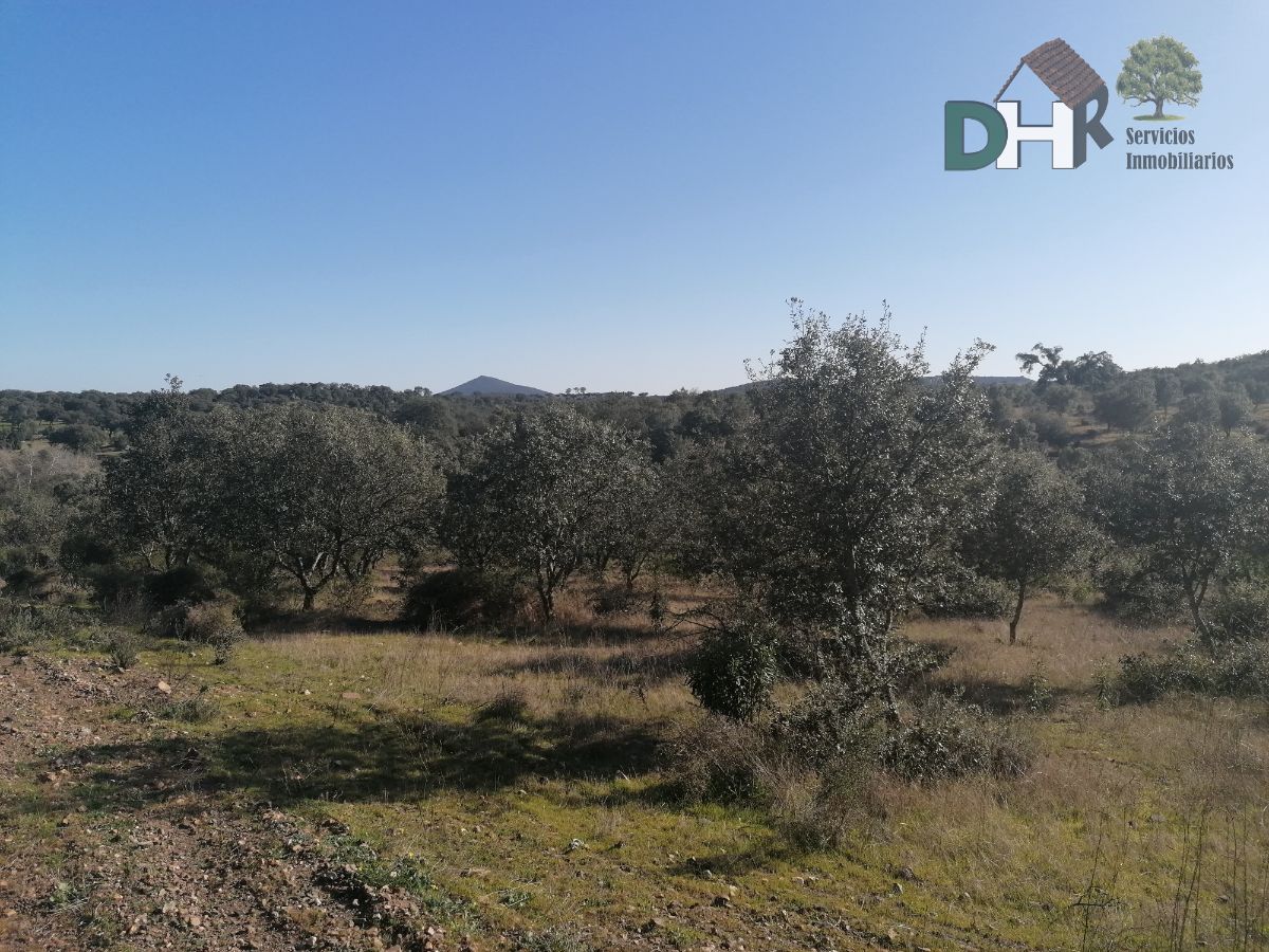 For sale of land in Don Benito