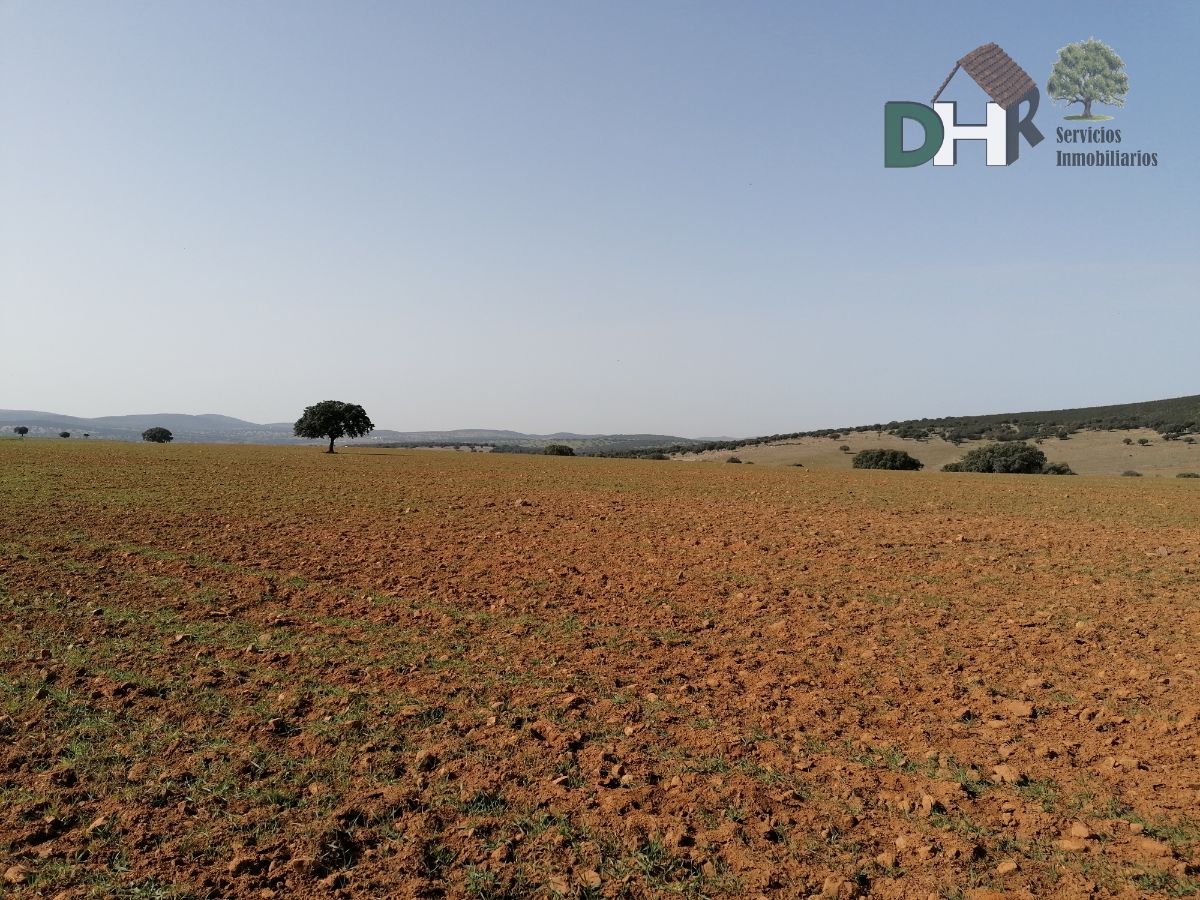 Venta de terreno en Badajoz Venta de terreno en Badajoz