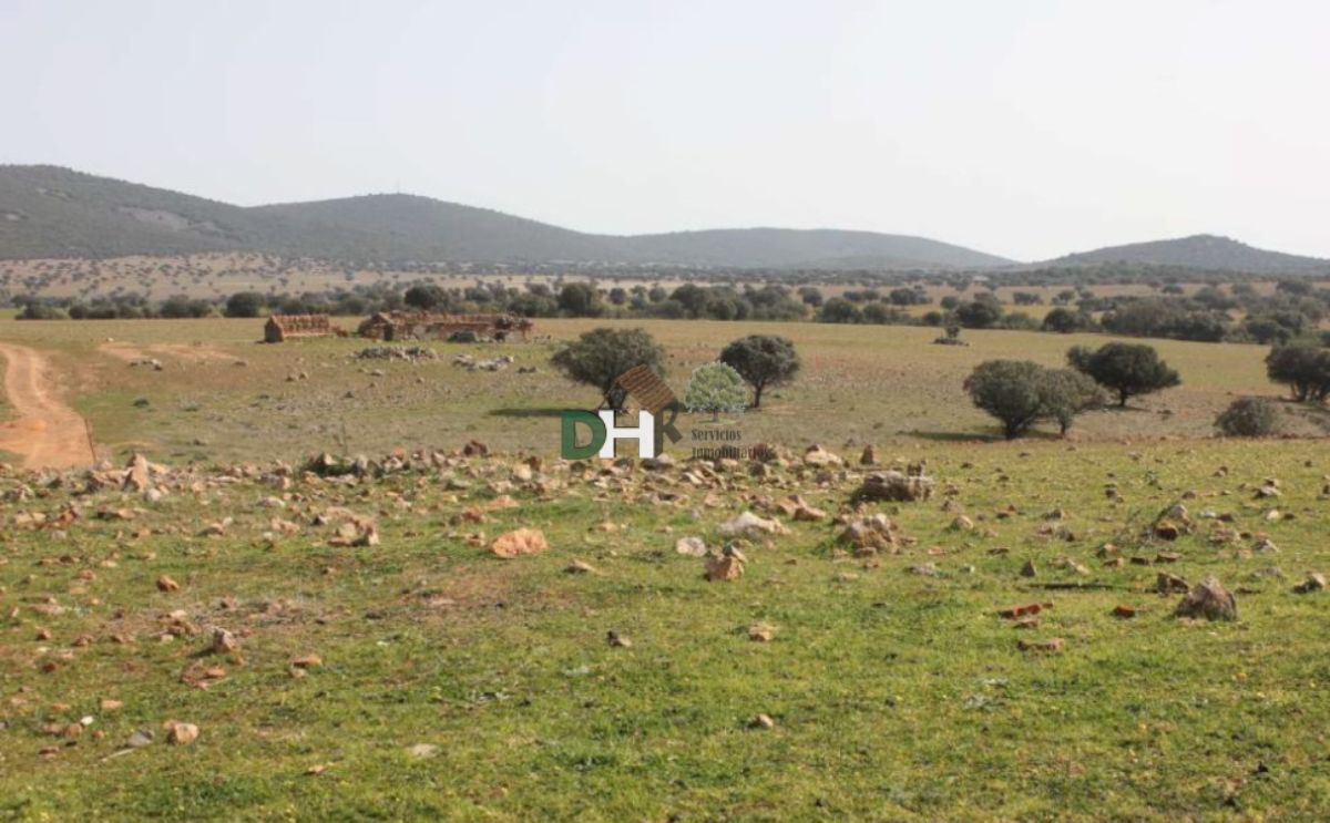 Venta de terreno en Badajoz