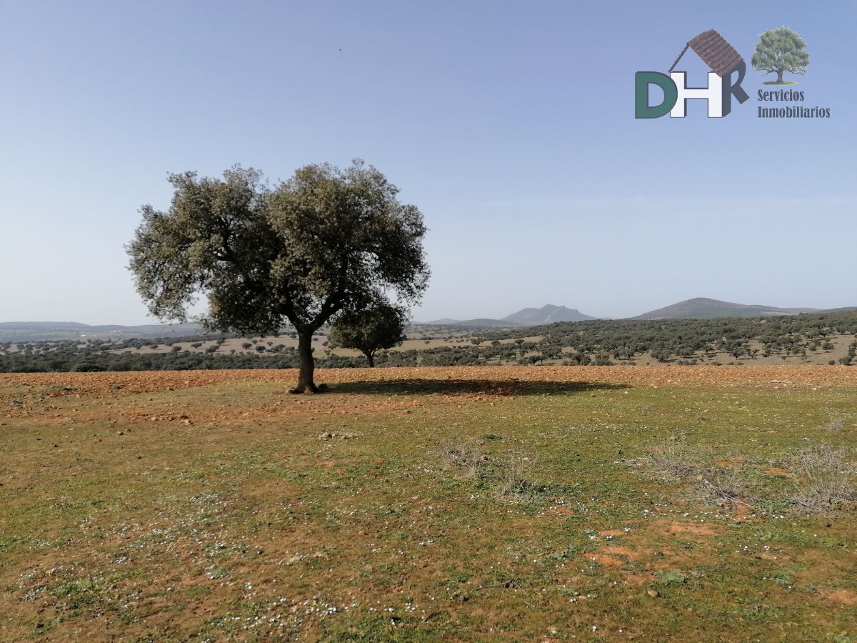 For sale of land in Badajoz