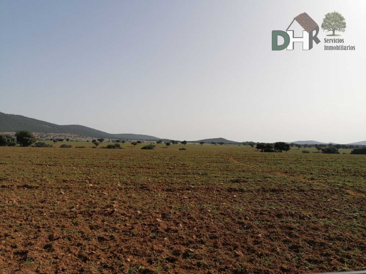 Venta de terreno en Badajoz Venta de terreno en Badajoz