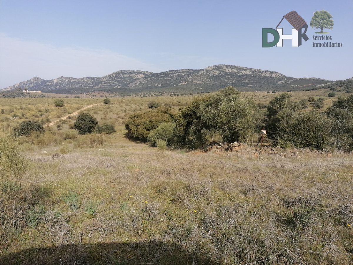 For sale of land in Badajoz