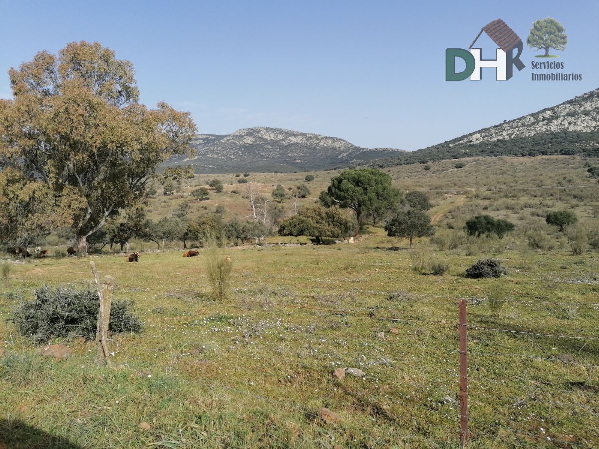 For sale of land in Badajoz