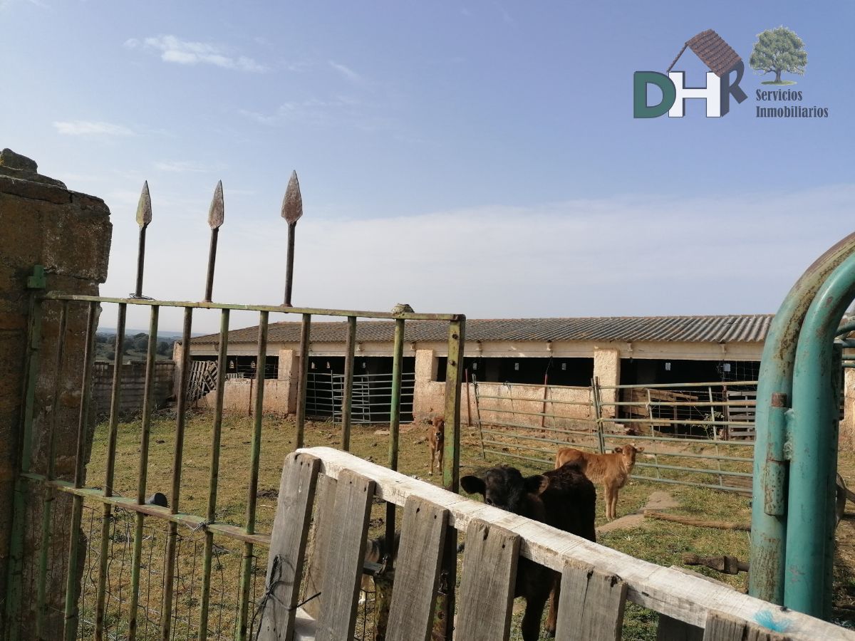 Venta de terreno en Badajoz Venta de terreno en Badajoz