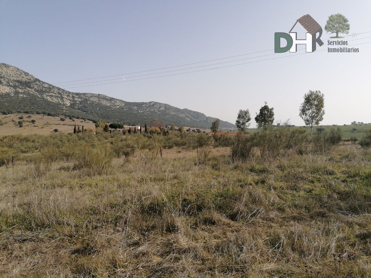 For sale of land in Don Benito