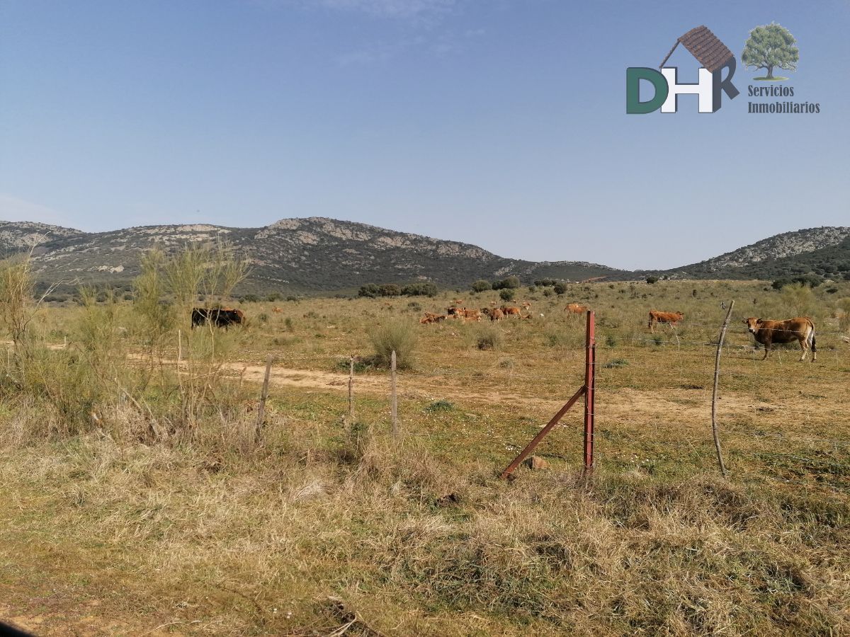 Venta de terreno en Badajoz Venta de terreno en Badajoz