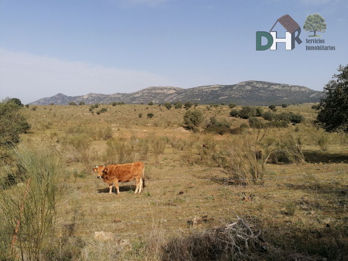 Venta de terreno en Badajoz Venta de terreno en Badajoz